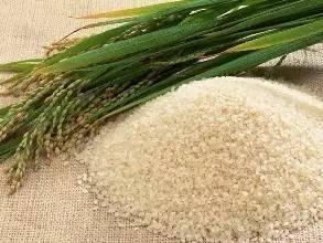 新規(guī)出臺(tái)！農(nóng)業(yè)部明確 無此證不得銷售食用農(nóng)產(chǎn)品